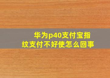 华为p40支付宝指纹支付不好使怎么回事