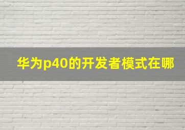 华为p40的开发者模式在哪