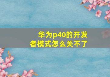 华为p40的开发者模式怎么关不了