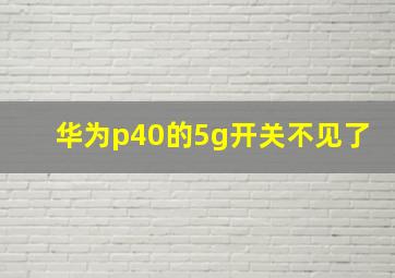 华为p40的5g开关不见了