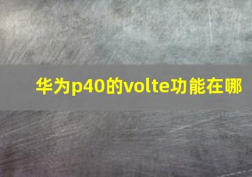 华为p40的volte功能在哪