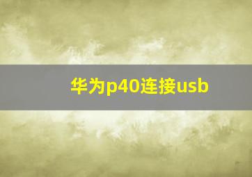 华为p40连接usb