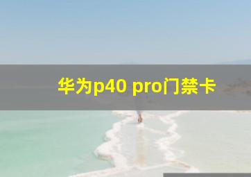 华为p40 pro门禁卡