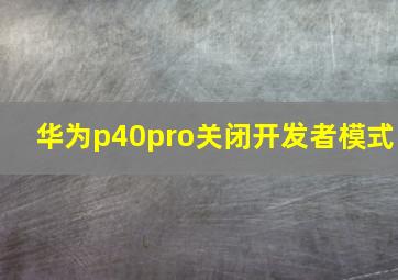 华为p40pro关闭开发者模式