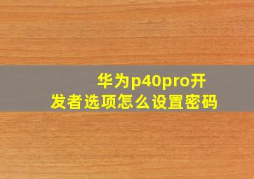 华为p40pro开发者选项怎么设置密码