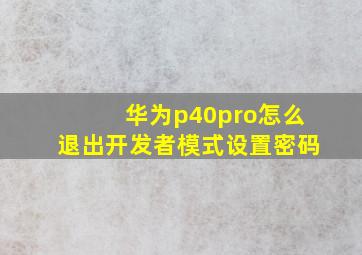 华为p40pro怎么退出开发者模式设置密码