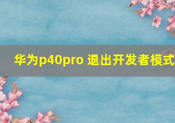 华为p40pro 退出开发者模式