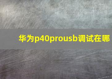 华为p40prousb调试在哪