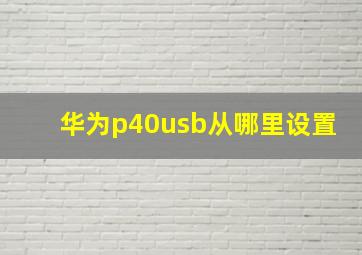 华为p40usb从哪里设置