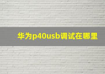 华为p40usb调试在哪里