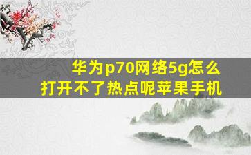 华为p70网络5g怎么打开不了热点呢苹果手机