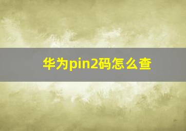 华为pin2码怎么查