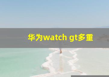 华为watch gt多重