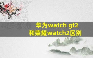 华为watch gt2和荣耀watch2区别