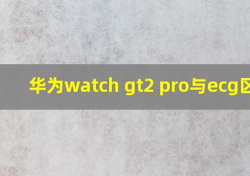 华为watch gt2 pro与ecg区别