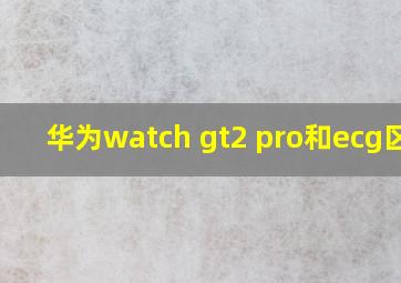 华为watch gt2 pro和ecg区别