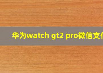 华为watch gt2 pro微信支付