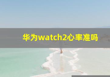 华为watch2心率准吗