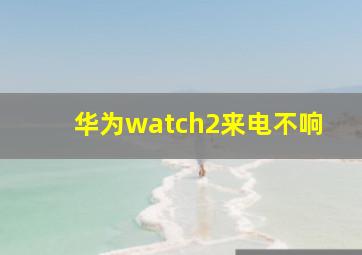 华为watch2来电不响