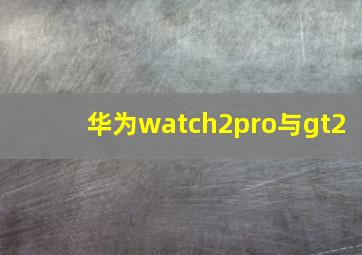 华为watch2pro与gt2