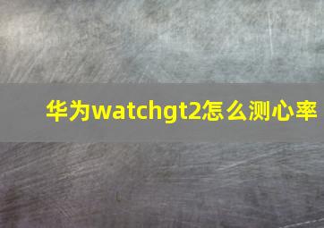 华为watchgt2怎么测心率