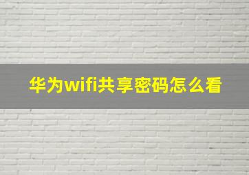 华为wifi共享密码怎么看