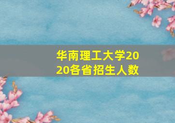 华南理工大学2020各省招生人数