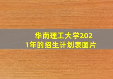 华南理工大学2021年的招生计划表图片