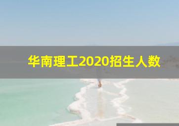 华南理工2020招生人数