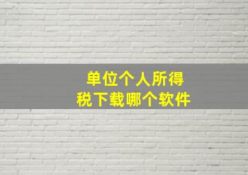 单位个人所得税下载哪个软件