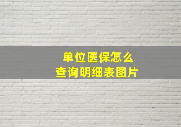 单位医保怎么查询明细表图片