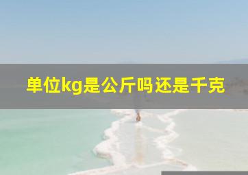 单位kg是公斤吗还是千克