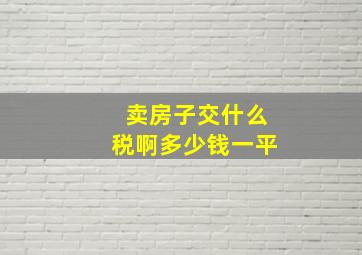 卖房子交什么税啊多少钱一平