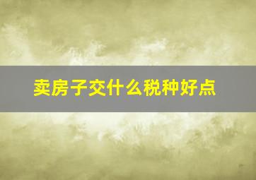 卖房子交什么税种好点