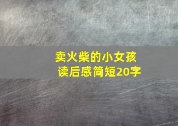 卖火柴的小女孩读后感简短20字