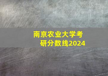 南京农业大学考研分数线2024