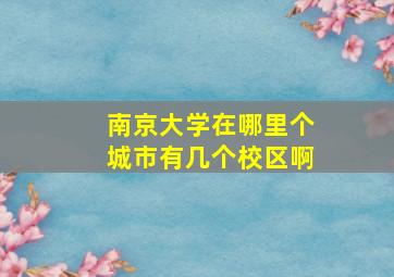 南京大学在哪里个城市有几个校区啊