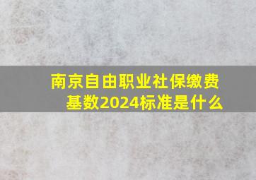 南京自由职业社保缴费基数2024标准是什么