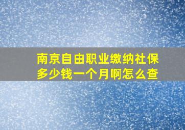 南京自由职业缴纳社保多少钱一个月啊怎么查