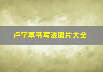 卢字草书写法图片大全