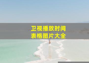 卫视播放时间表格图片大全