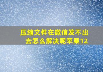 压缩文件在微信发不出去怎么解决呢苹果12