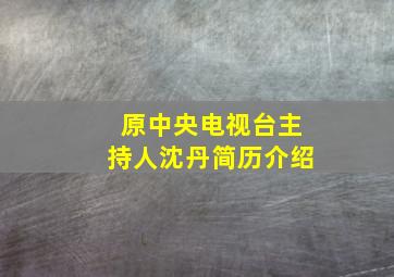 原中央电视台主持人沈丹简历介绍