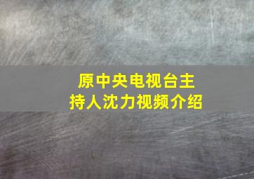 原中央电视台主持人沈力视频介绍