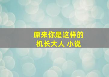 原来你是这样的机长大人 小说