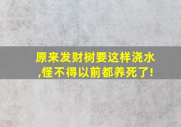 原来发财树要这样浇水,怪不得以前都养死了!