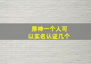 原神一个人可以实名认证几个