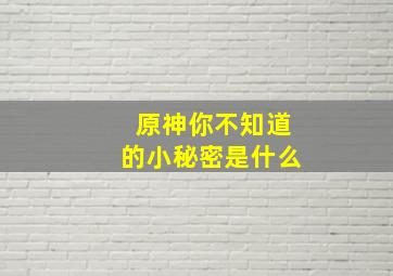 原神你不知道的小秘密是什么