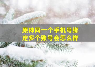 原神同一个手机号绑定多个账号会怎么样