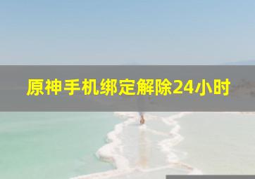 原神手机绑定解除24小时